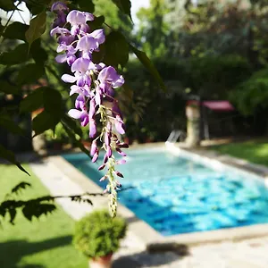 Park Palace Firenze